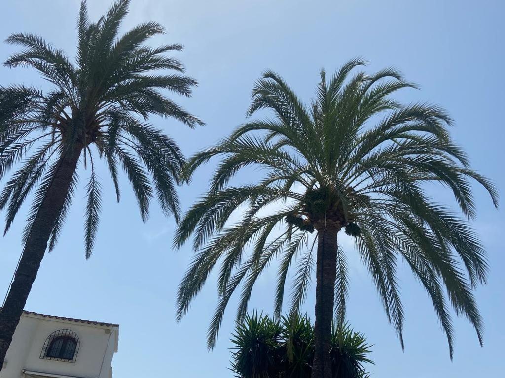 Apartamento Urb Oasis Park II Denia, Las Marinas מראה חיצוני תמונה